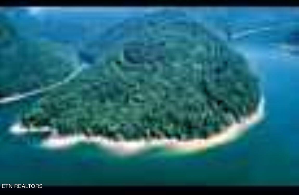 4-lots Jones Ridge Road Speedwell, TN 37870 - Photo 6 of 15 2-2778026242