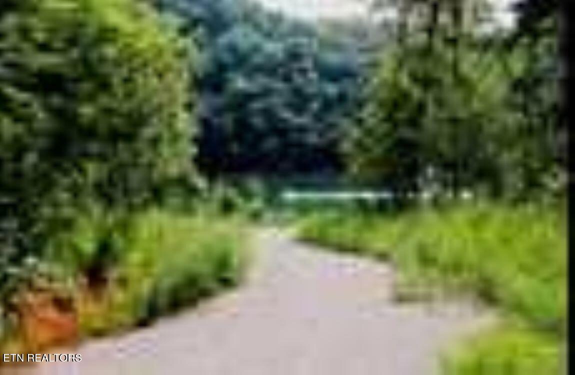 4-lots Jones Ridge Road Speedwell, TN 37870 - Photo 8 of 15 2-2778026245