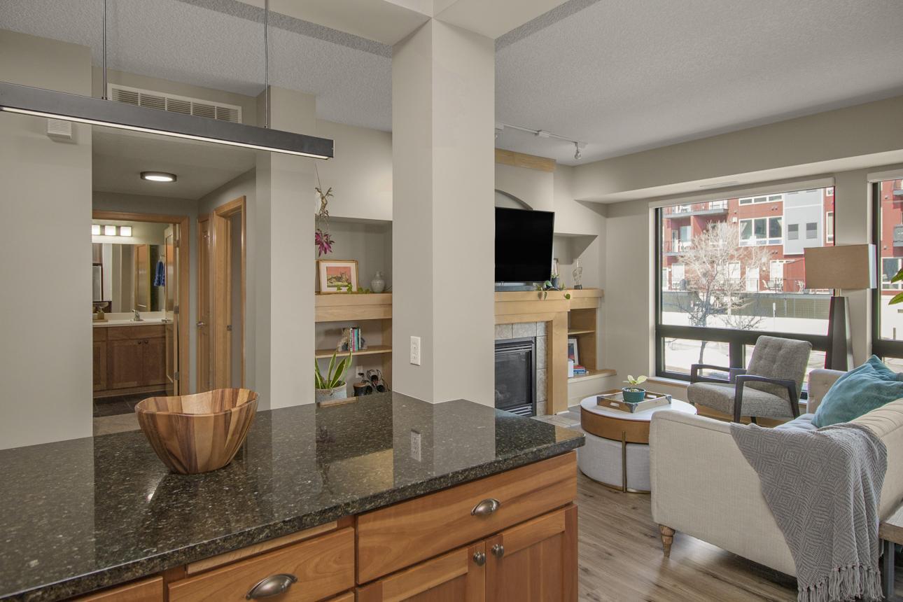 256 Spring Street, Unit 120 St. Paul, MN 55102 - Photo 7 of 32