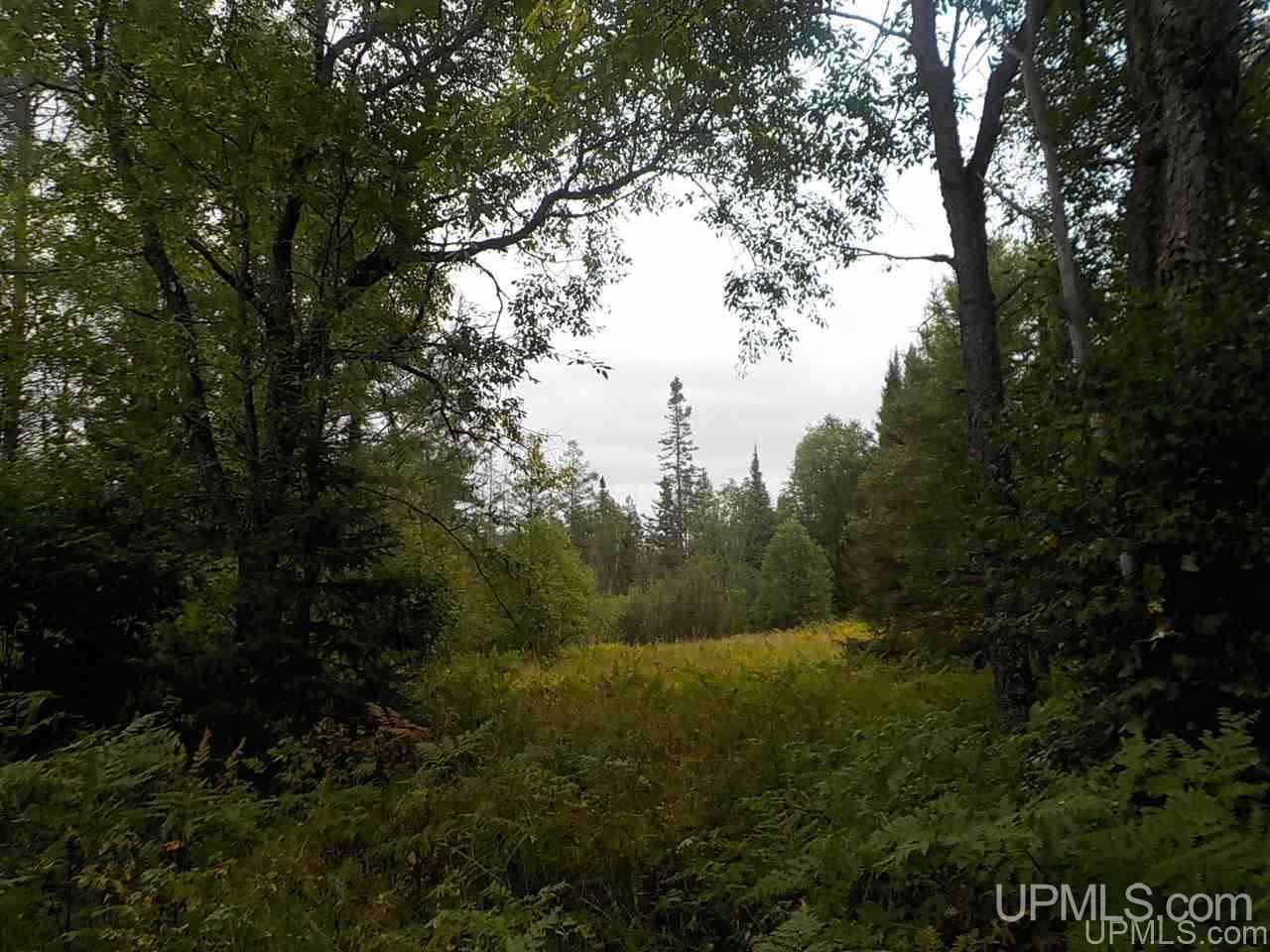 196.2-ac East Cable Lake Road Crystal Falls, MI 49920 - Photo 11 of 17