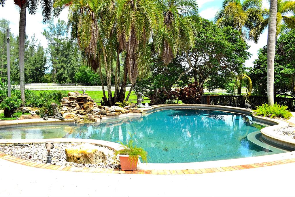 6200 Southwest 183rd Way Southwest Ranches, FL 33331 - Photo 11 of 18 a view of a swimming pool with a yard and trees