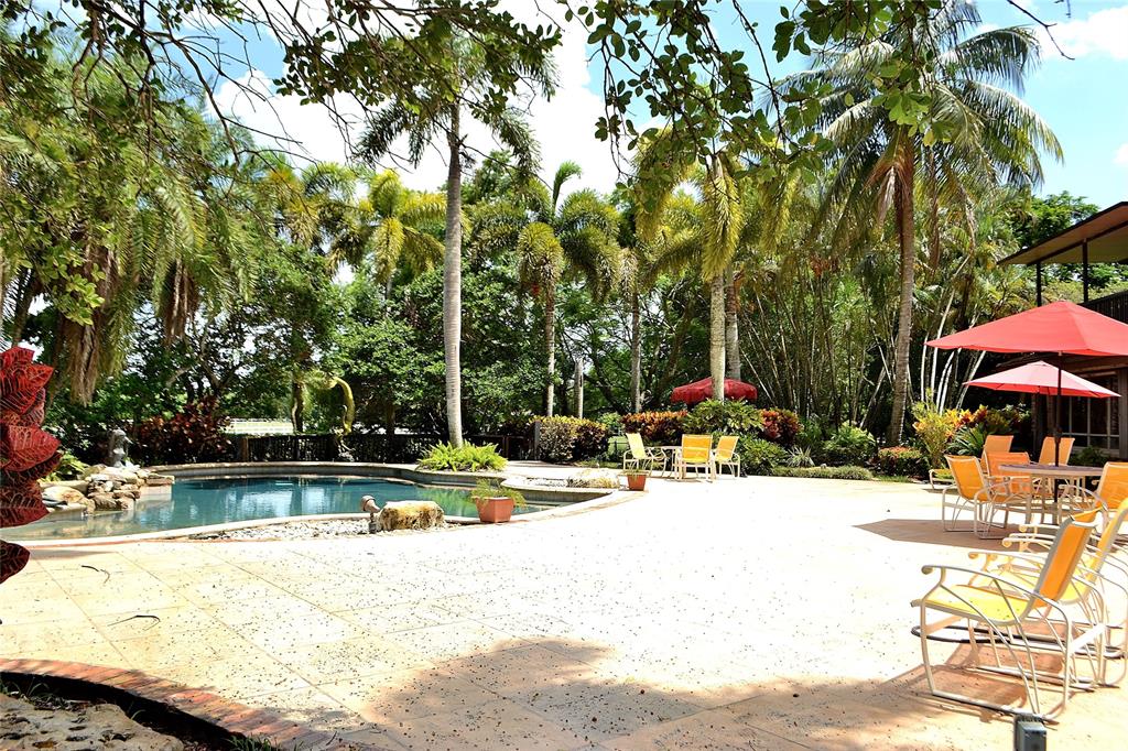 6200 Southwest 183rd Way Southwest Ranches, FL 33331 - Photo 14 of 18 a view of pool with lawn chairs under an umbrella