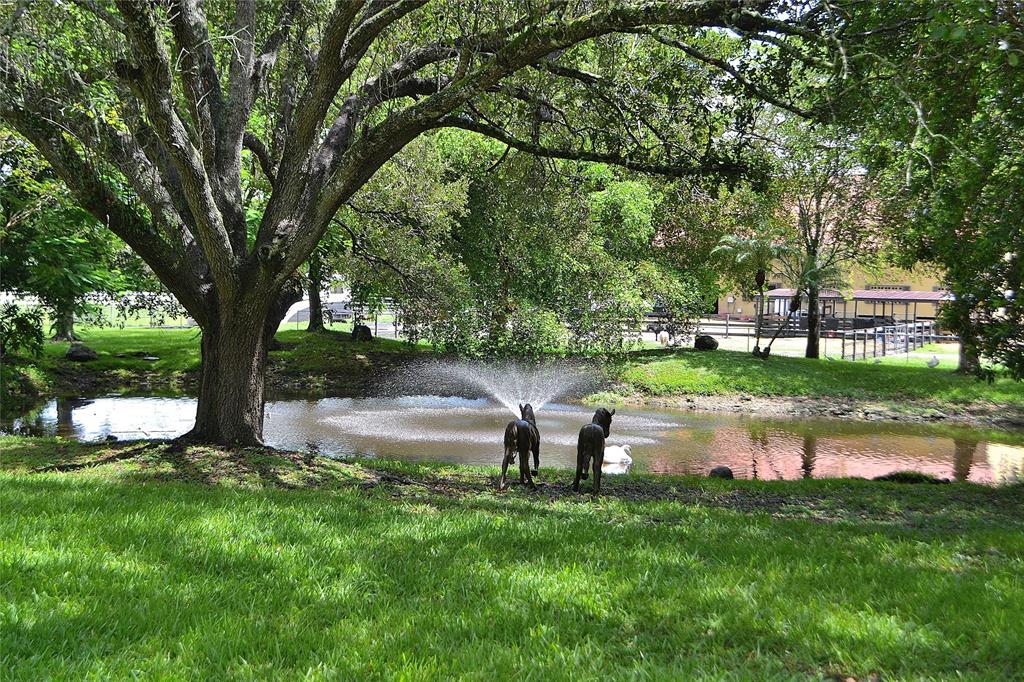 6200 Southwest 183rd Way Southwest Ranches, FL 33331 - Photo 16 of 18 a backyard of a house with lots of green space and fountain