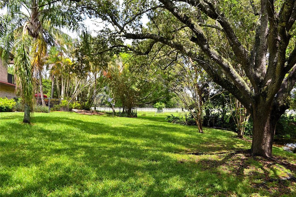6200 Southwest 183rd Way Southwest Ranches, FL 33331 - Photo 5 of 18 a view of yard with trees