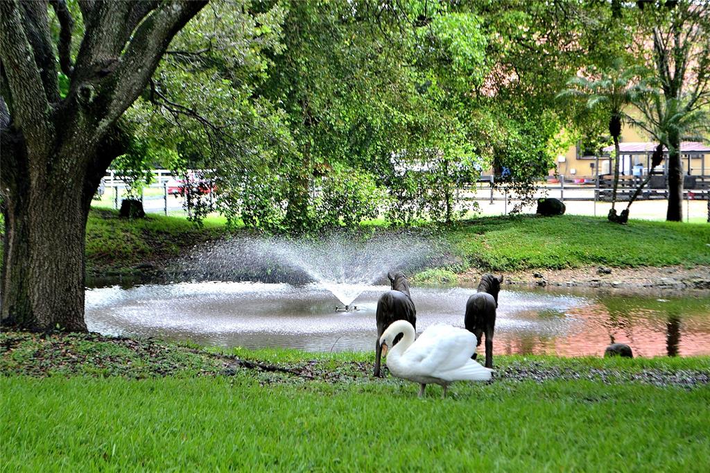 6200 Southwest 183rd Way Southwest Ranches, FL 33331 - Photo 6 of 18 a garden view with a fountain