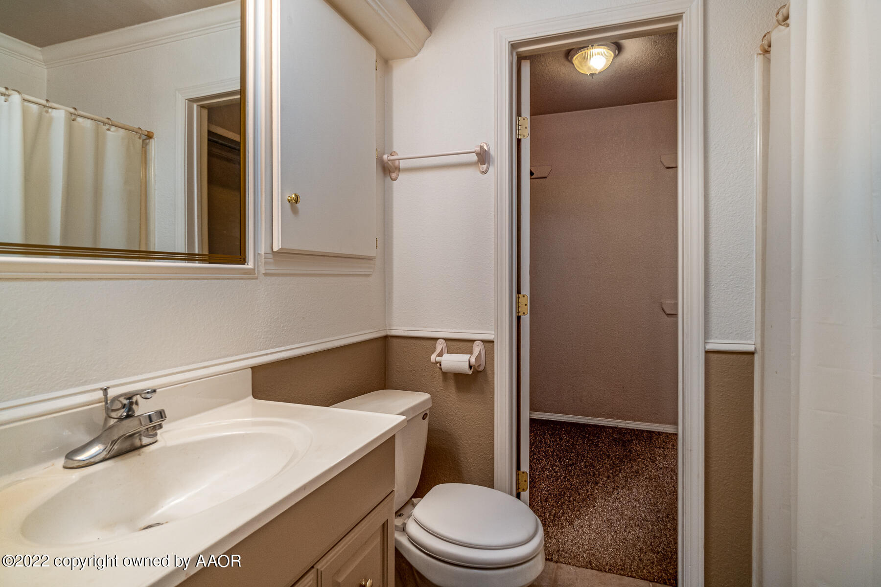 23350 Brown Road Canyon, TX 79015 - Photo 30 of 50 a bathroom with a sink a toilet and shower