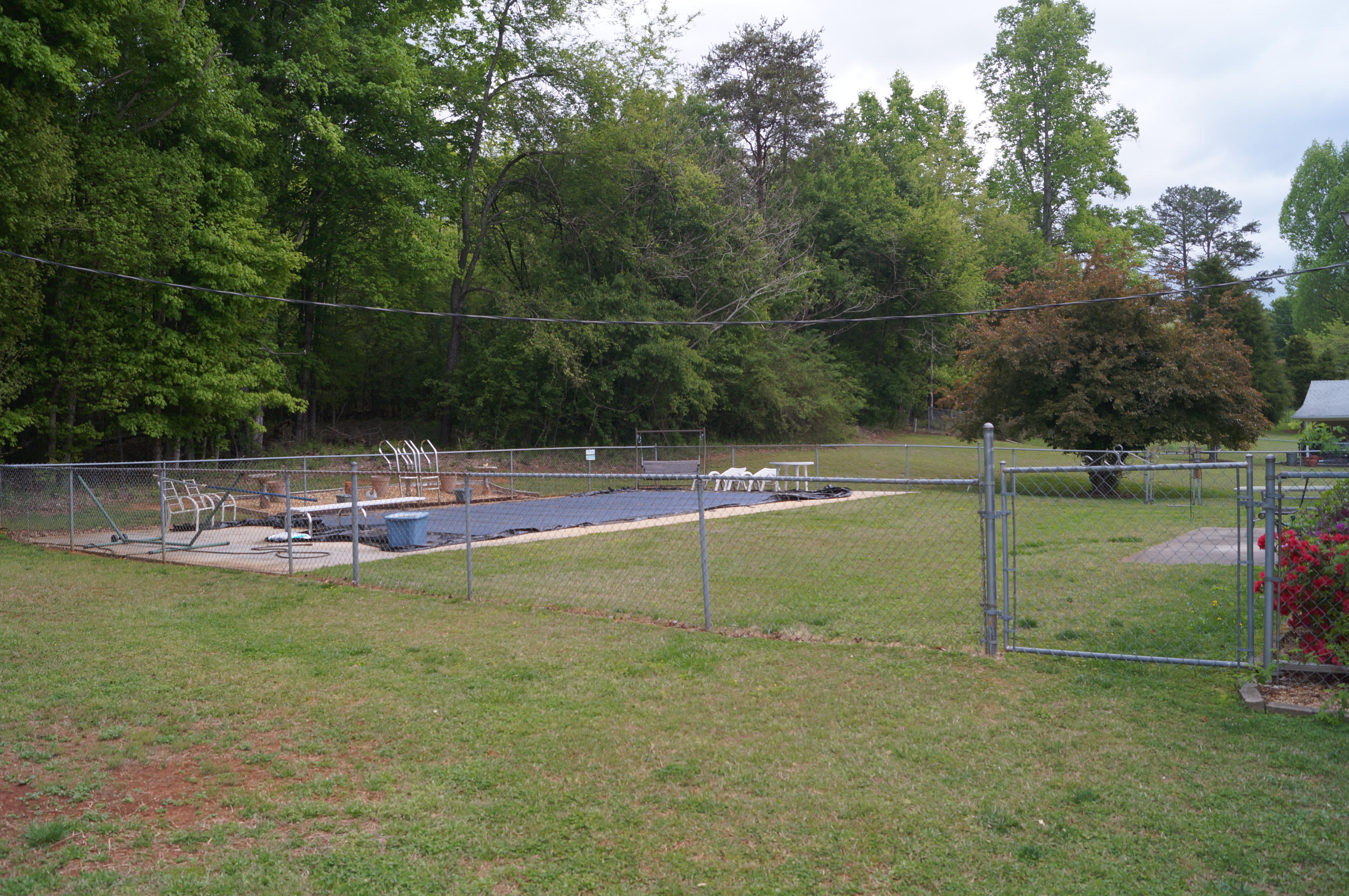 418 Bluff Point Road Harriman, TN 37748 - Photo 19 of 37 Back Yard/Pool