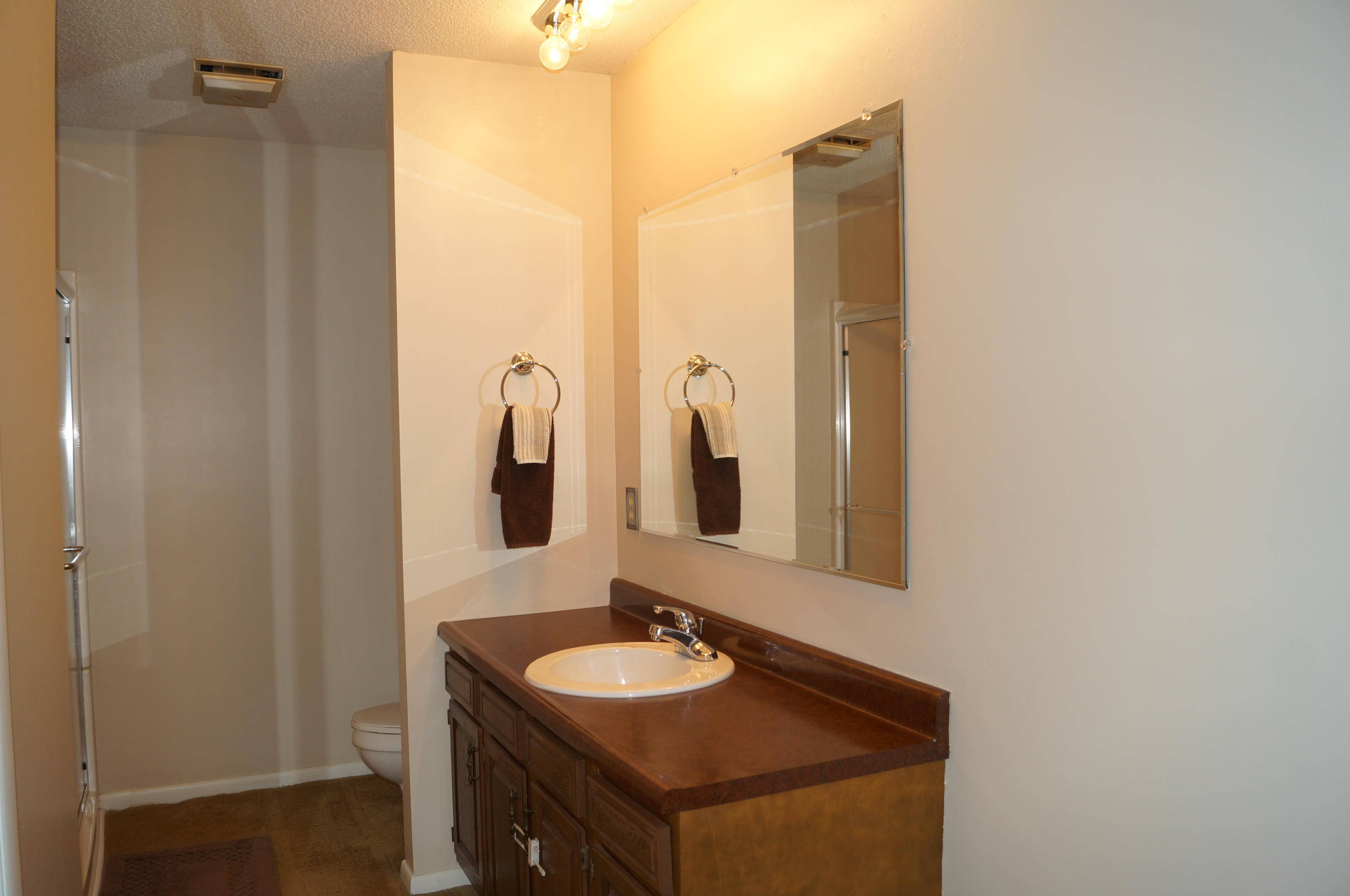 418 Bluff Point Road Harriman, TN 37748 - Photo 31 of 37 Master Bathroom