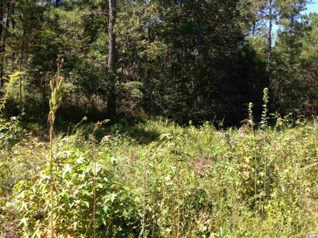 20 Babson Road Northwest Ash, NC 28420 - Photo 1 of 15 Gallery Image 1