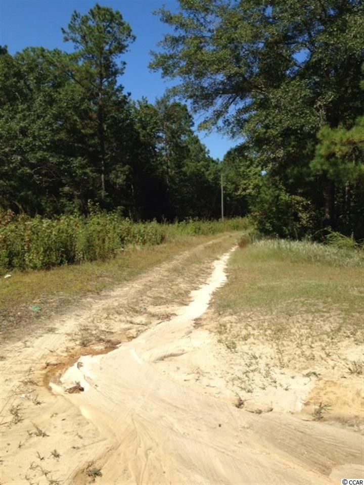 20 Babson Road Northwest Ash, NC 28420 - Photo 2 of 15 Gallery Image 2