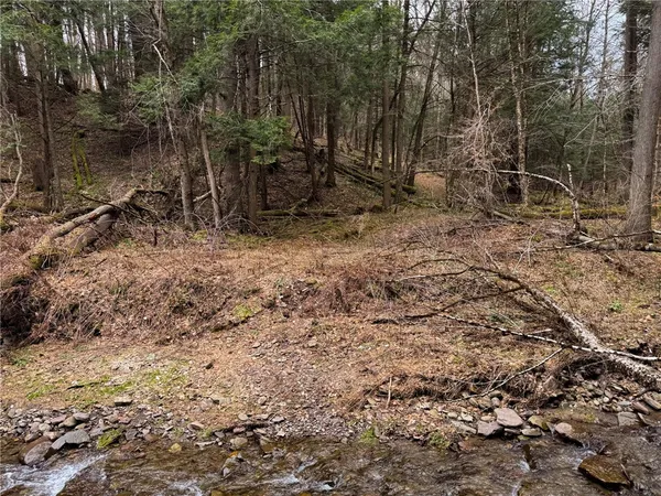 $299,000 | 1975 Highway 8, Guilford, NY 13809