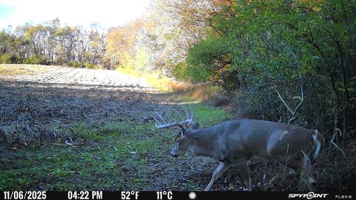 0 Stephen Young Road Camden, OH 45311 - Photo 49 of 57