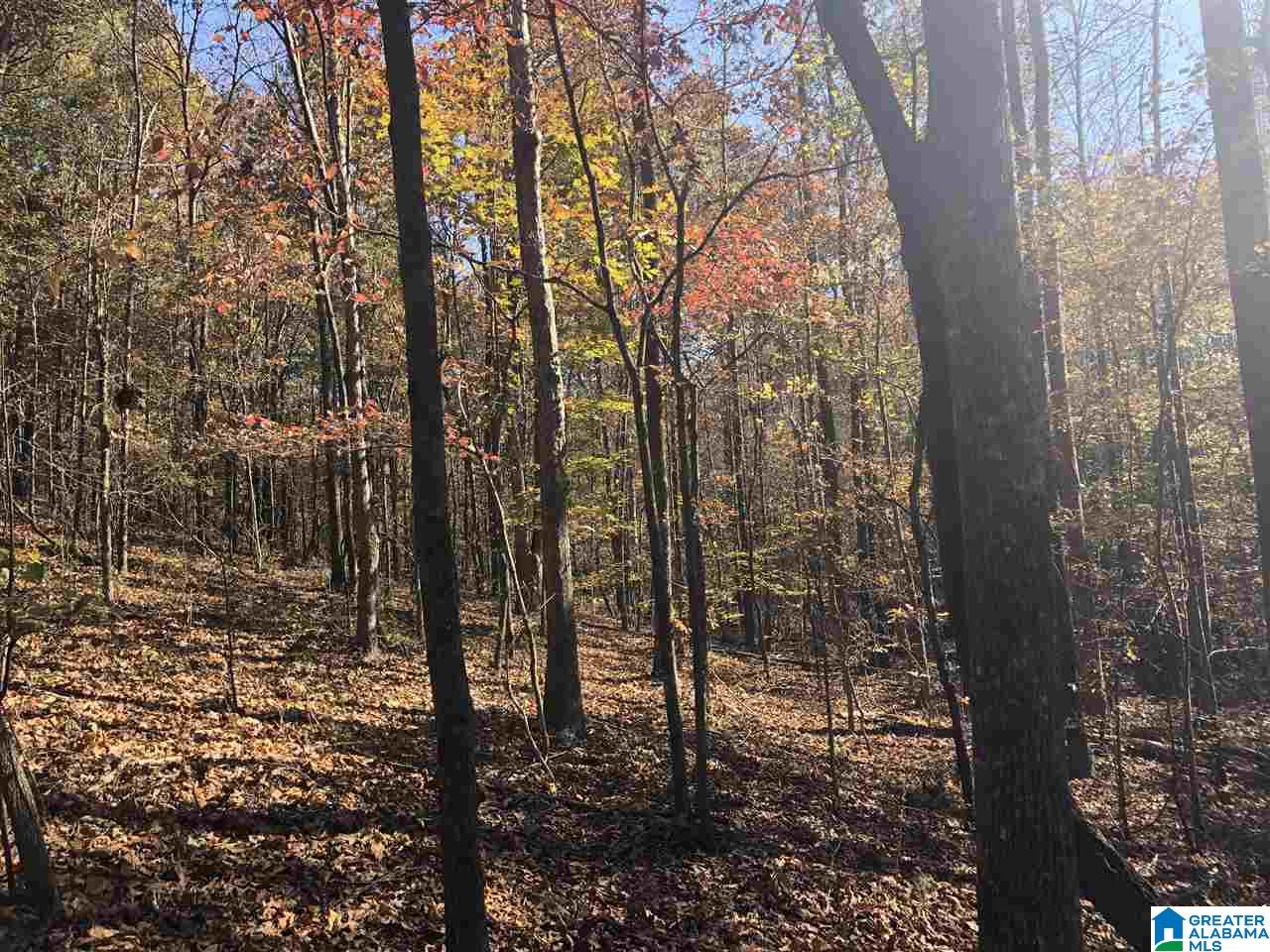 39 County Road, Unit 4J Woodland, AL 36280 - Photo 7 of 8