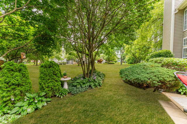 141 Crescent Lane, Unit 141 Schaumburg, IL 60193 - Photo 21 of 22