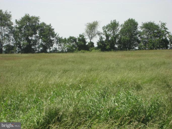 12250 Good Intent Road Keymar, MD 21757 - Photo 2 of 2 a view of outdoor space with green field and trees all around