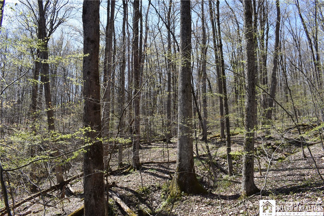 0 Fuller Gulf Road Cherry Creek, NY 14723 - Photo 8 of 25