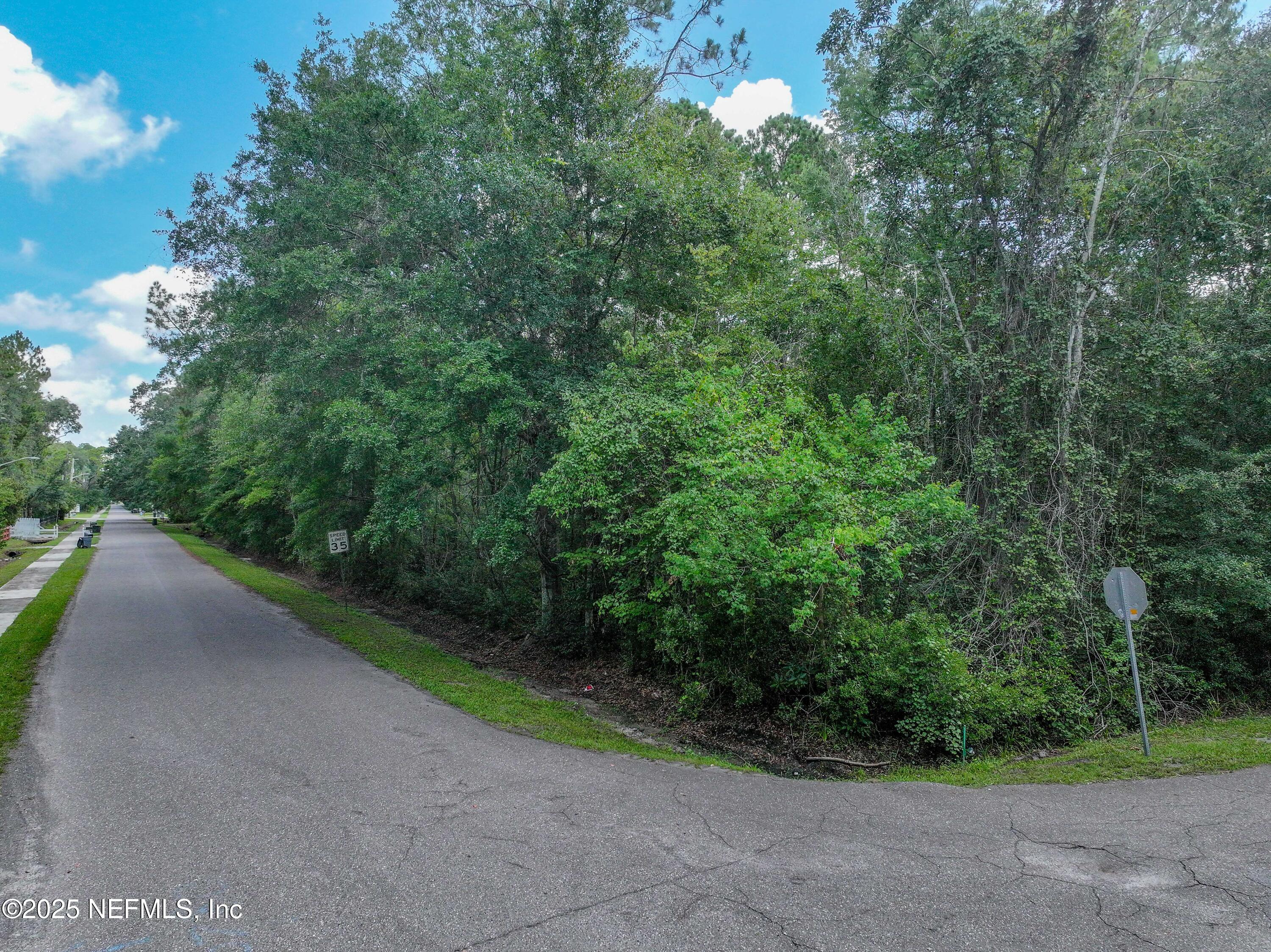 0 Monroe Smith Road Jacksonville, FL 32210 - Photo 6 of 9 0 Monroe Smith Rd_K2 Edit-1