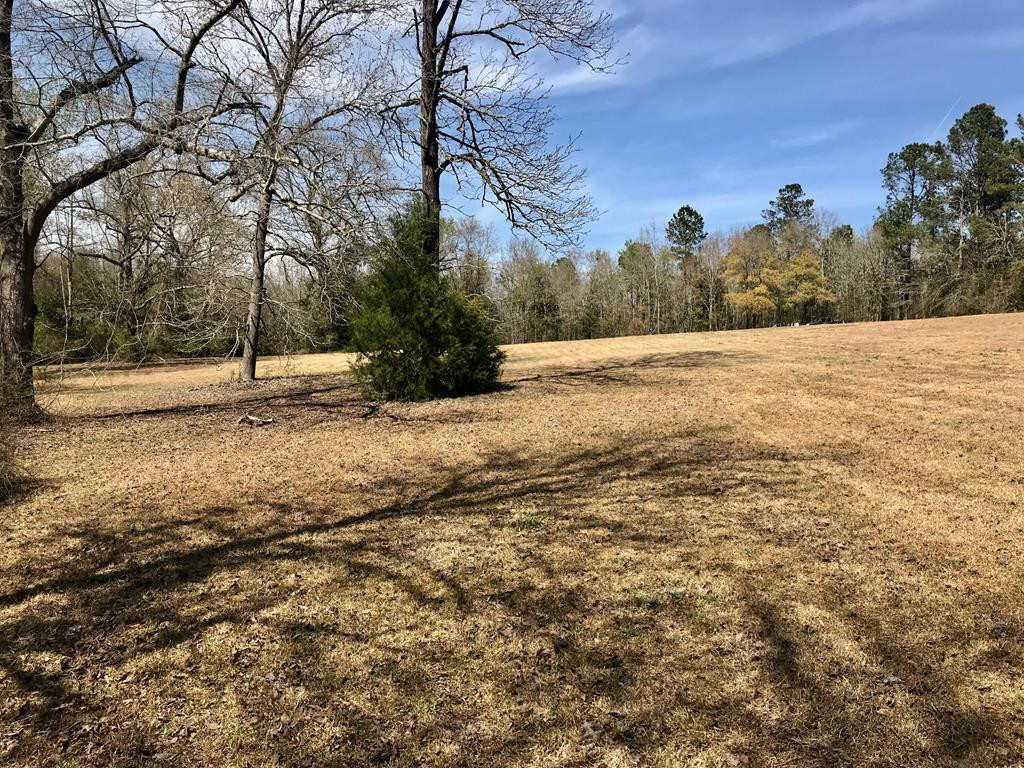 Lot 1 Holiness Church Road Wagener, SC 29164 - Photo 17 of 22