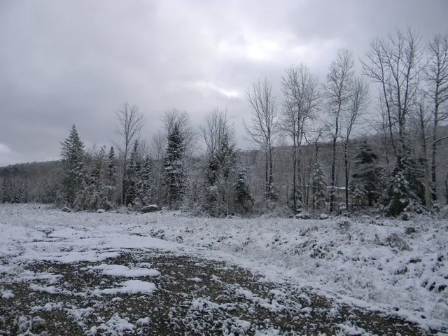 $113,050 | Churchill Lane, Bethlehem, NH 03574