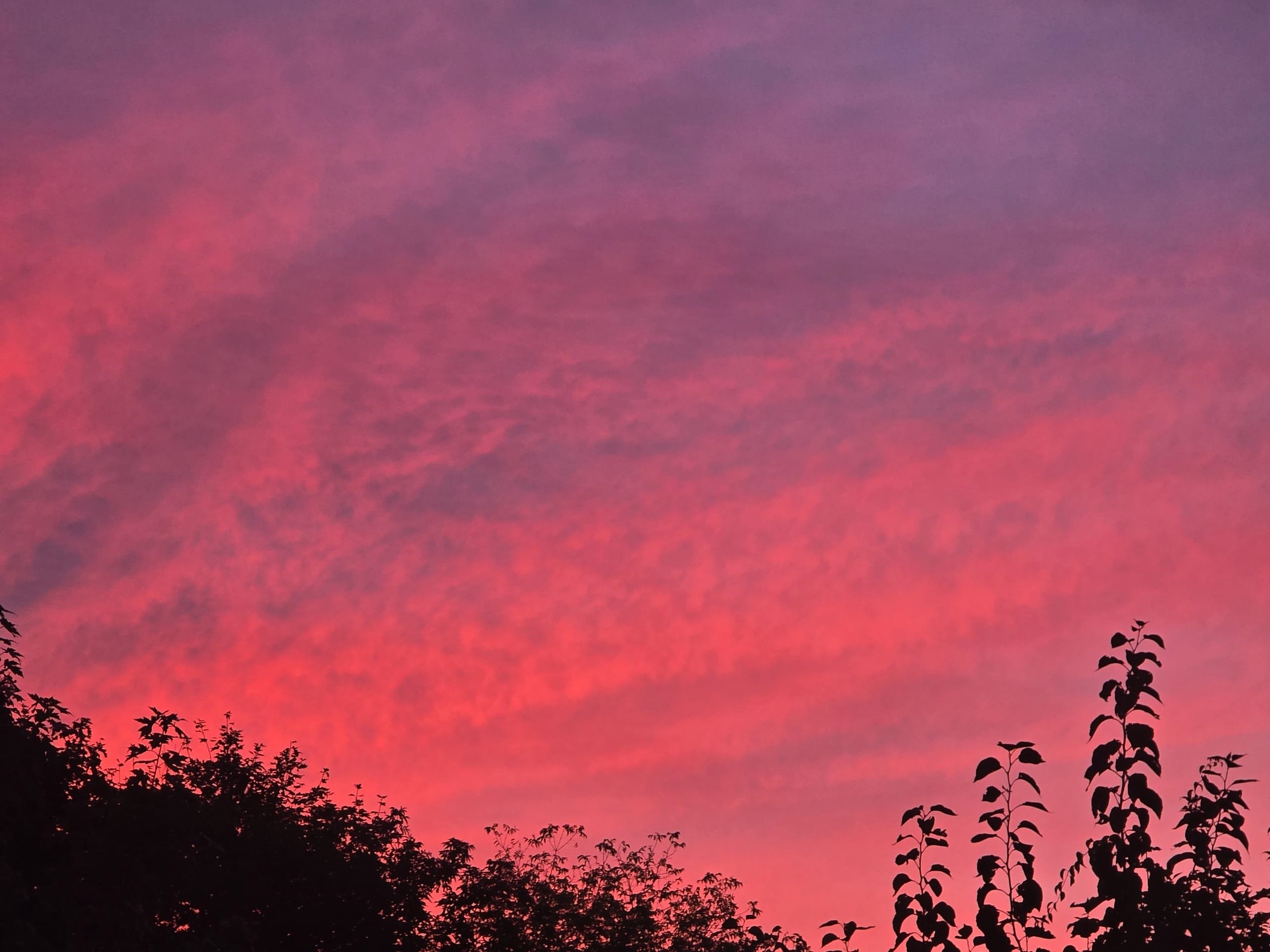 33 Sable Way, Unit 2 Manchester, NH 03102 - Photo 51 of 60