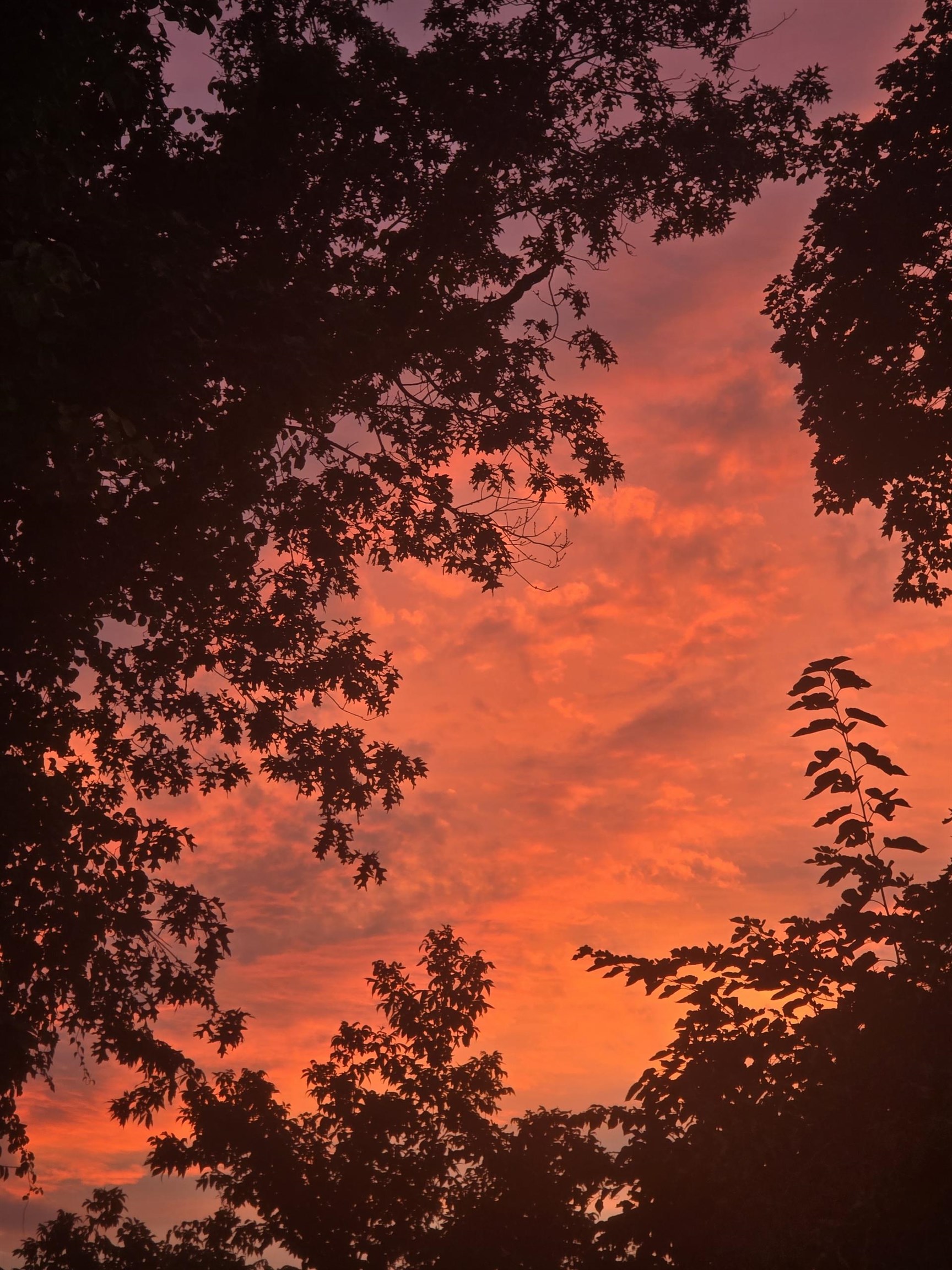 33 Sable Way, Unit 2 Manchester, NH 03102 - Photo 52 of 60