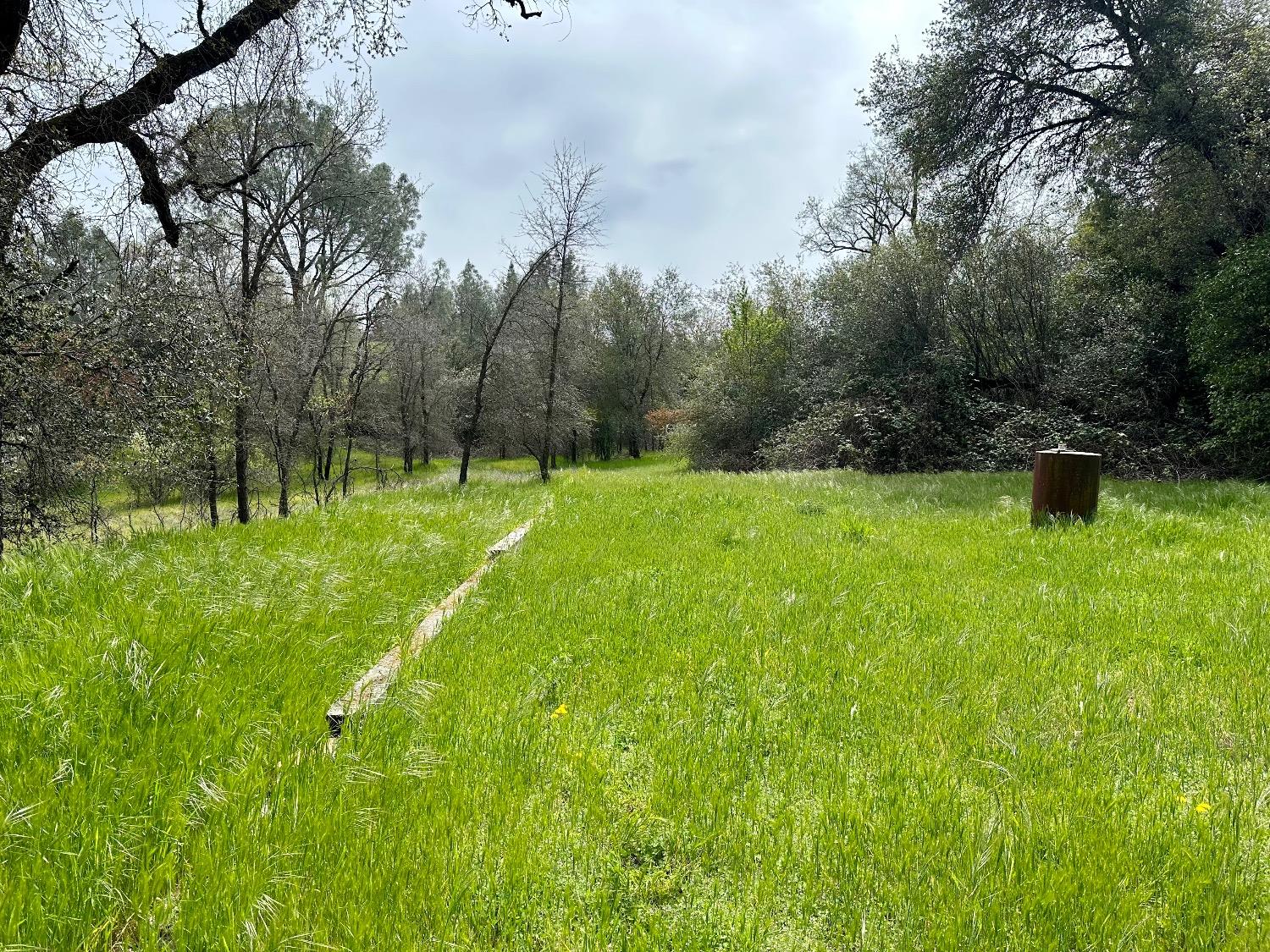 1 Joeger Road Auburn, CA 95602 - Photo 11 of 25 a view of an outdoor space and a yard