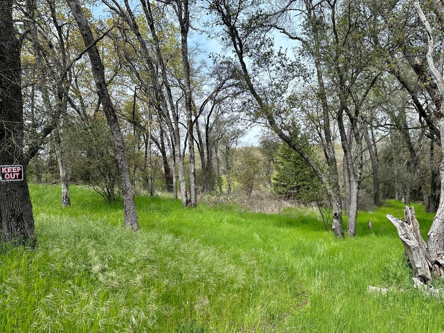 1 Joeger Road Auburn, CA 95602 - Photo 12 of 25 a huge green field with lots of trees