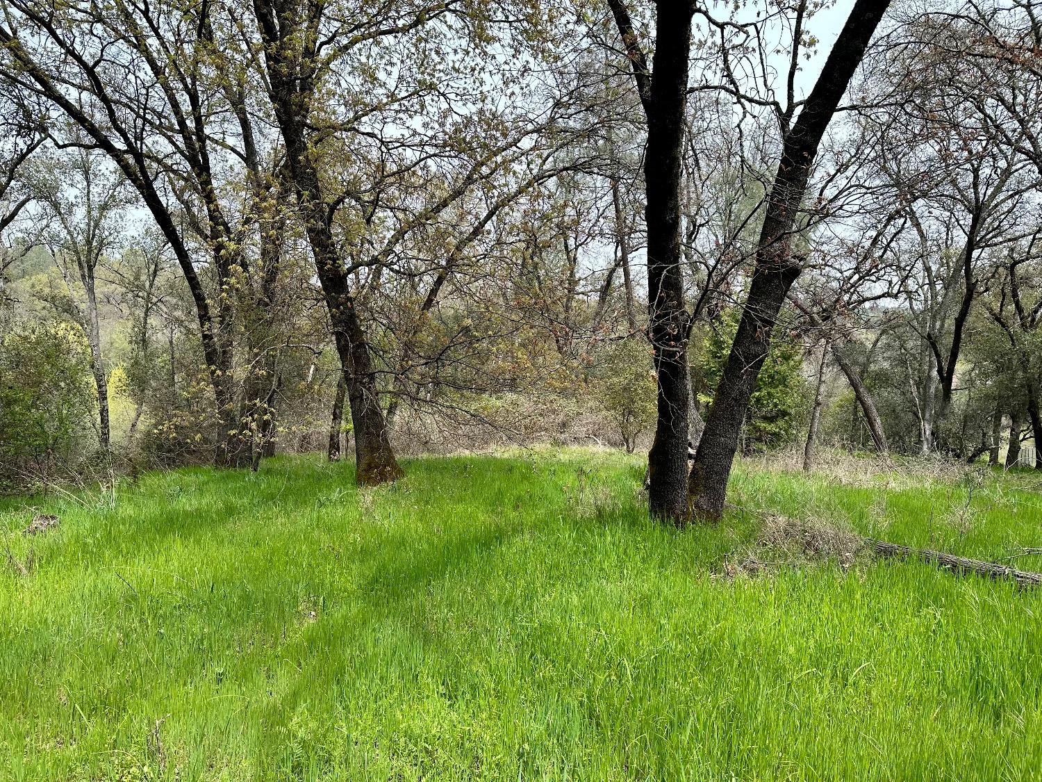 1 Joeger Road Auburn, CA 95602 - Photo 14 of 25 a view of backyard with green space