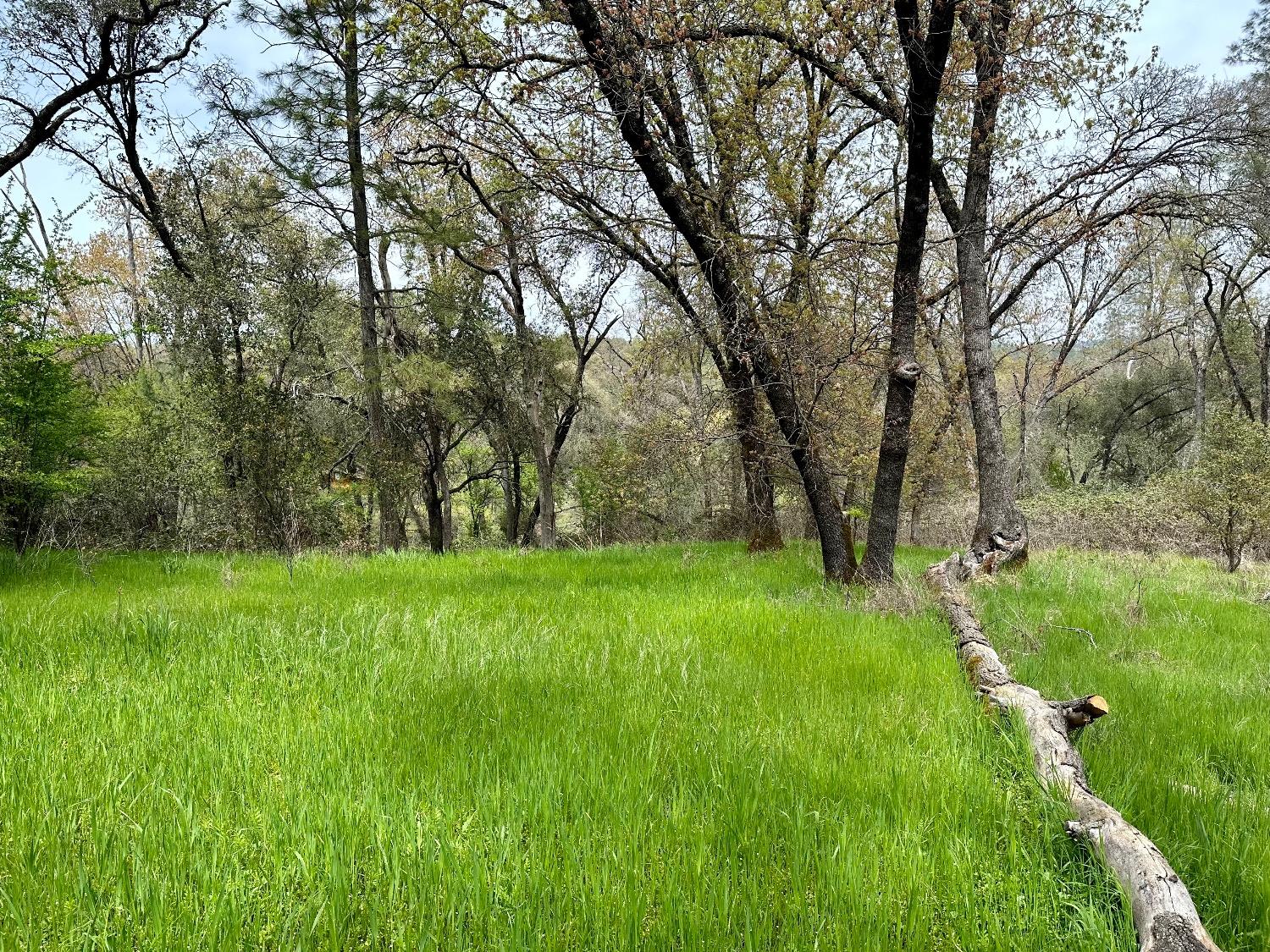 1 Joeger Road Auburn, CA 95602 - Photo 16 of 25 a view of backyard with green space