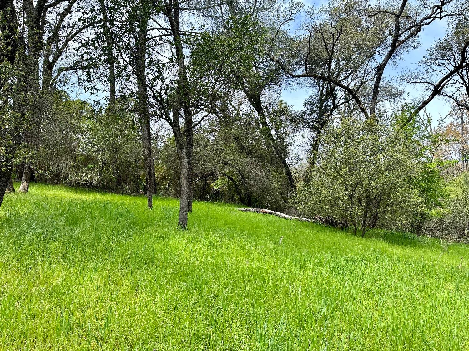1 Joeger Road Auburn, CA 95602 - Photo 17 of 25 a view of a field with a tree