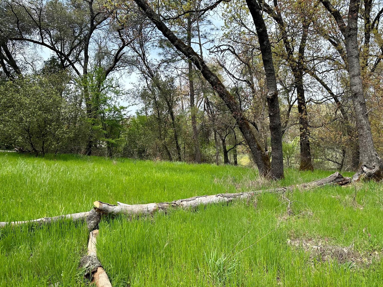 1 Joeger Road Auburn, CA 95602 - Photo 18 of 25 a view of yard with swimming pool and green space