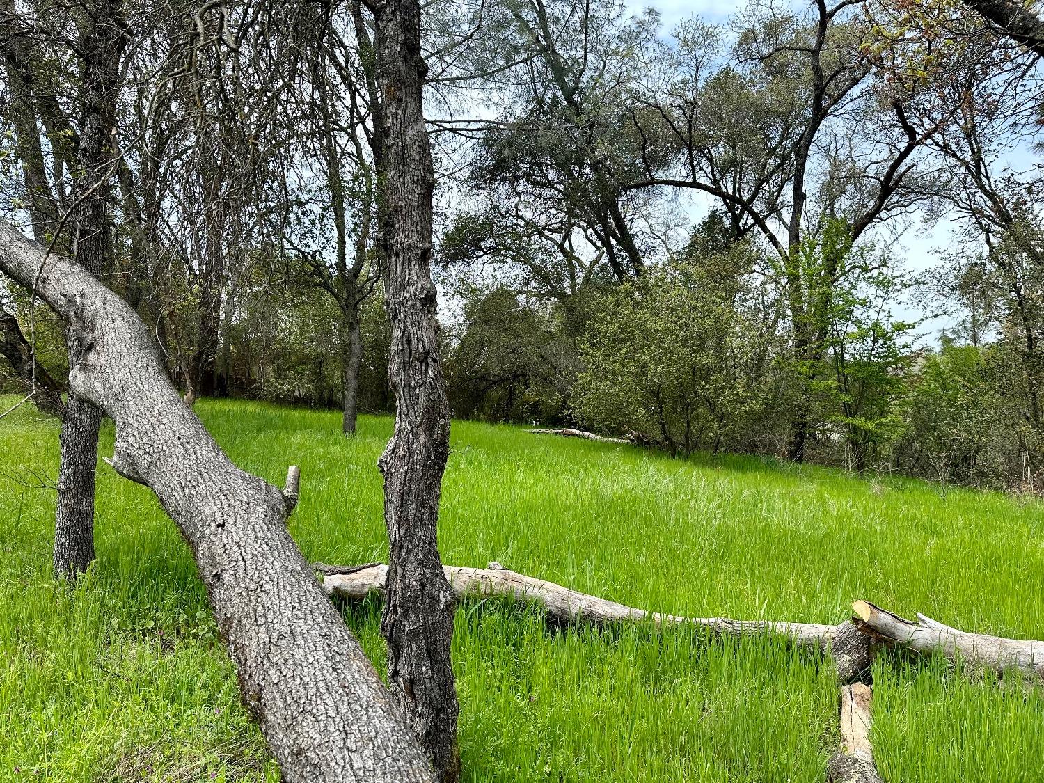 1 Joeger Road Auburn, CA 95602 - Photo 19 of 25 a view of a golf course with a park