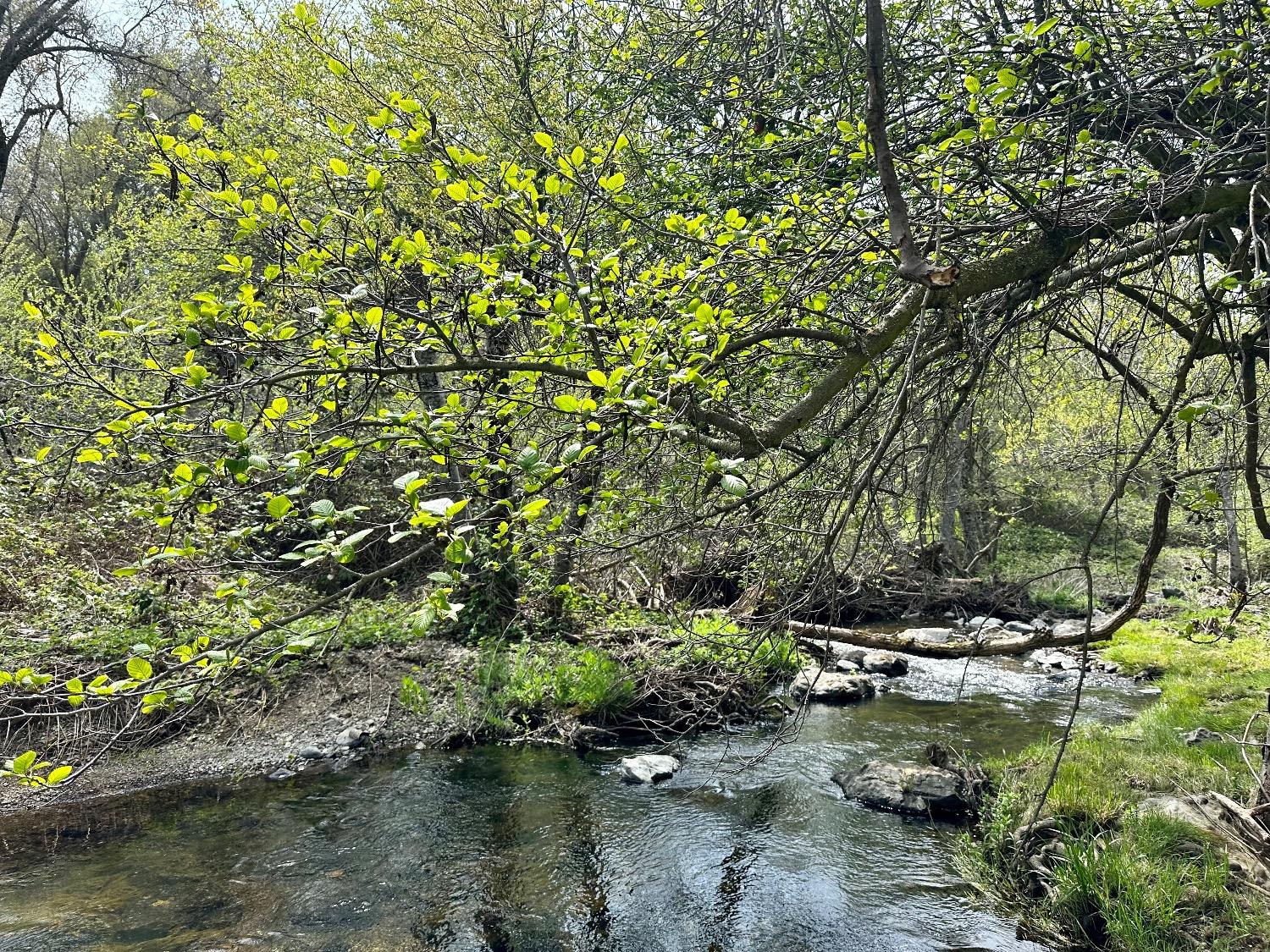 1 Joeger Road Auburn, CA 95602 - Photo 2 of 25 a backyard of a house with a yard and outdoor seating