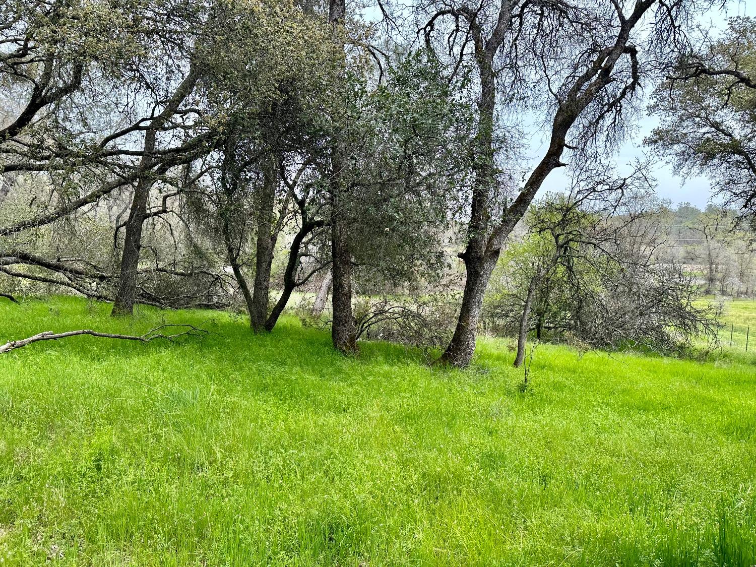 1 Joeger Road Auburn, CA 95602 - Photo 22 of 25 a view of an outdoor space with a lake view