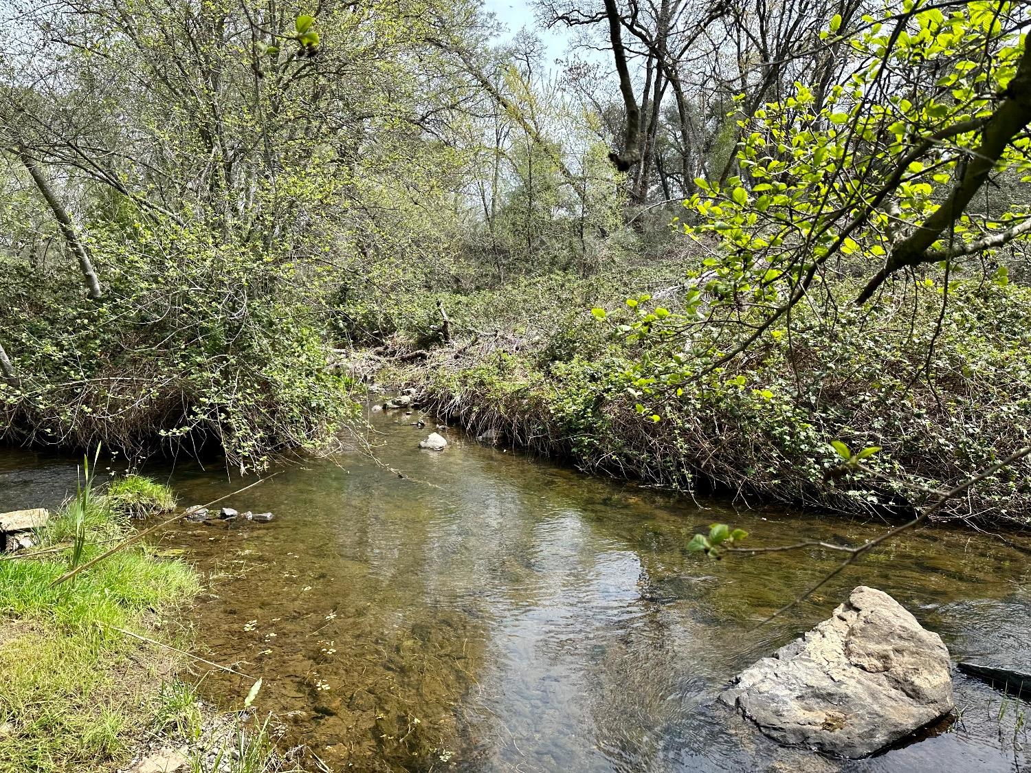 1 Joeger Road Auburn, CA 95602 - Photo 3 of 25 a view of a lake with a yard
