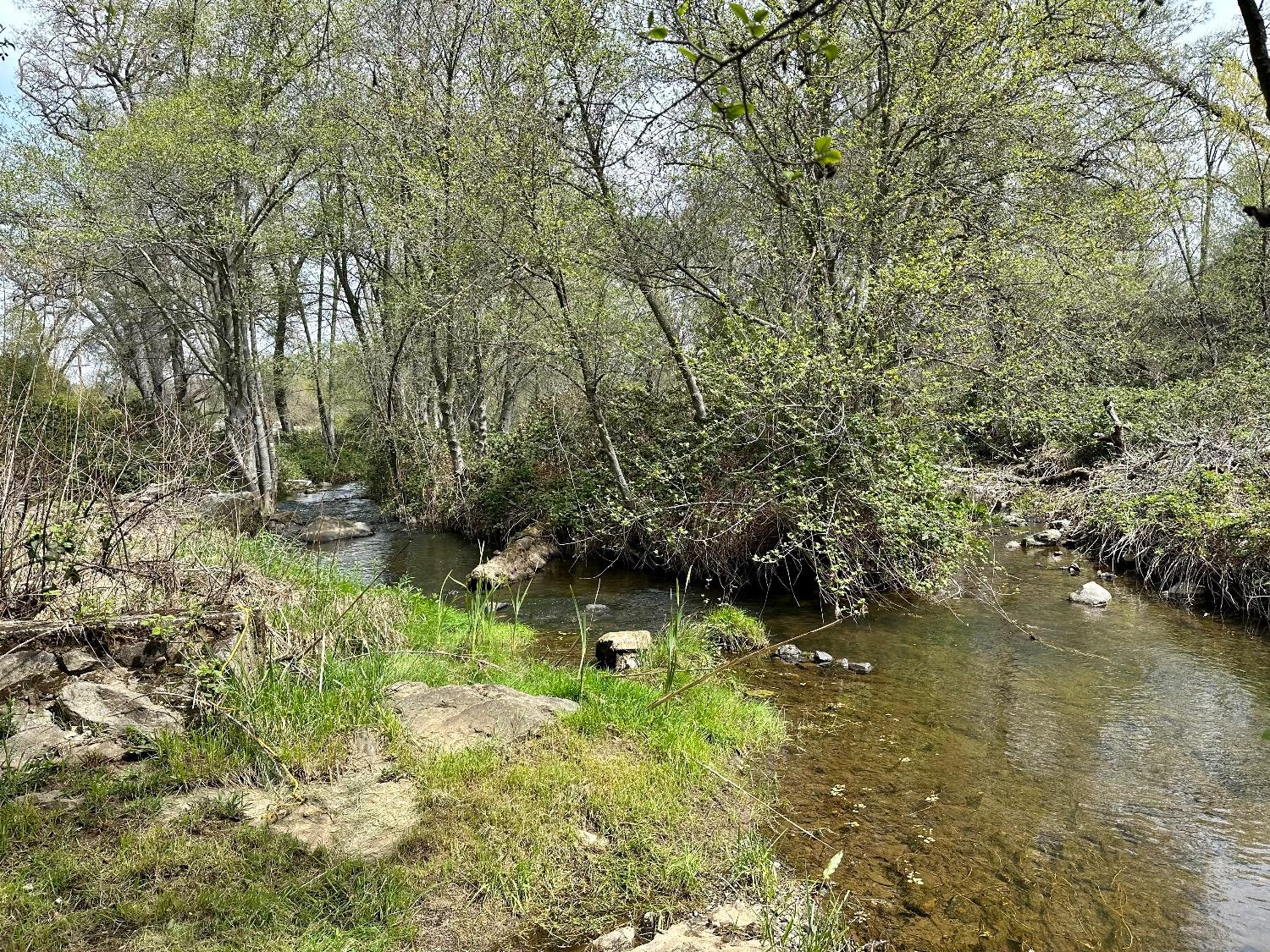 1 Joeger Road Auburn, CA 95602 - Photo 4 of 25 a backyard of a house with lots of green space