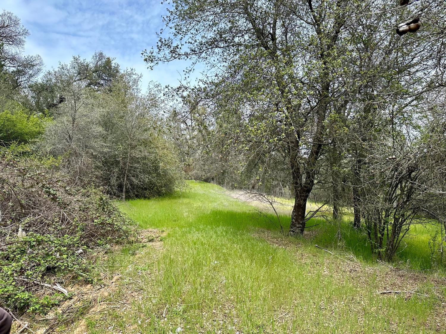 1 Joeger Road Auburn, CA 95602 - Photo 6 of 25 a view of an outdoor space and a yard