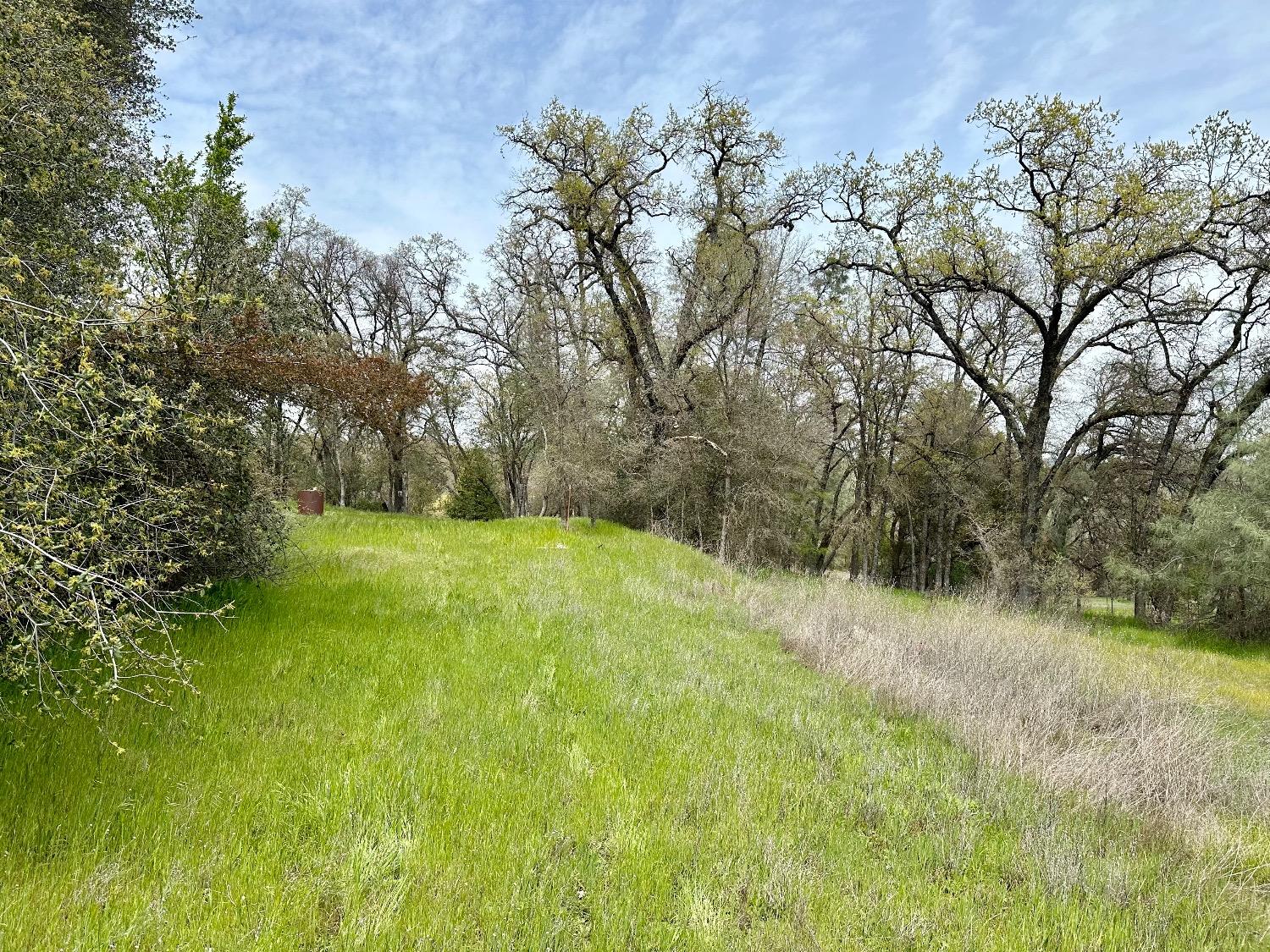 1 Joeger Road Auburn, CA 95602 - Photo 8 of 25 a view of a yard with a tree