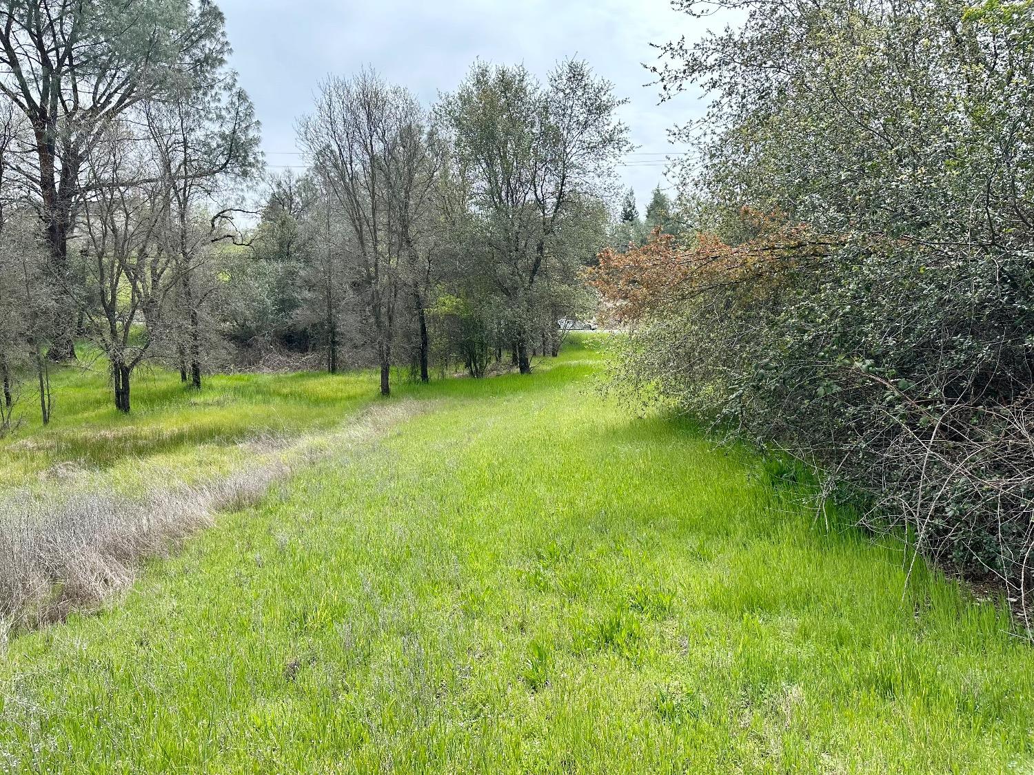 1 Joeger Road Auburn, CA 95602 - Photo 9 of 25 a big yard with lots of green space and plants