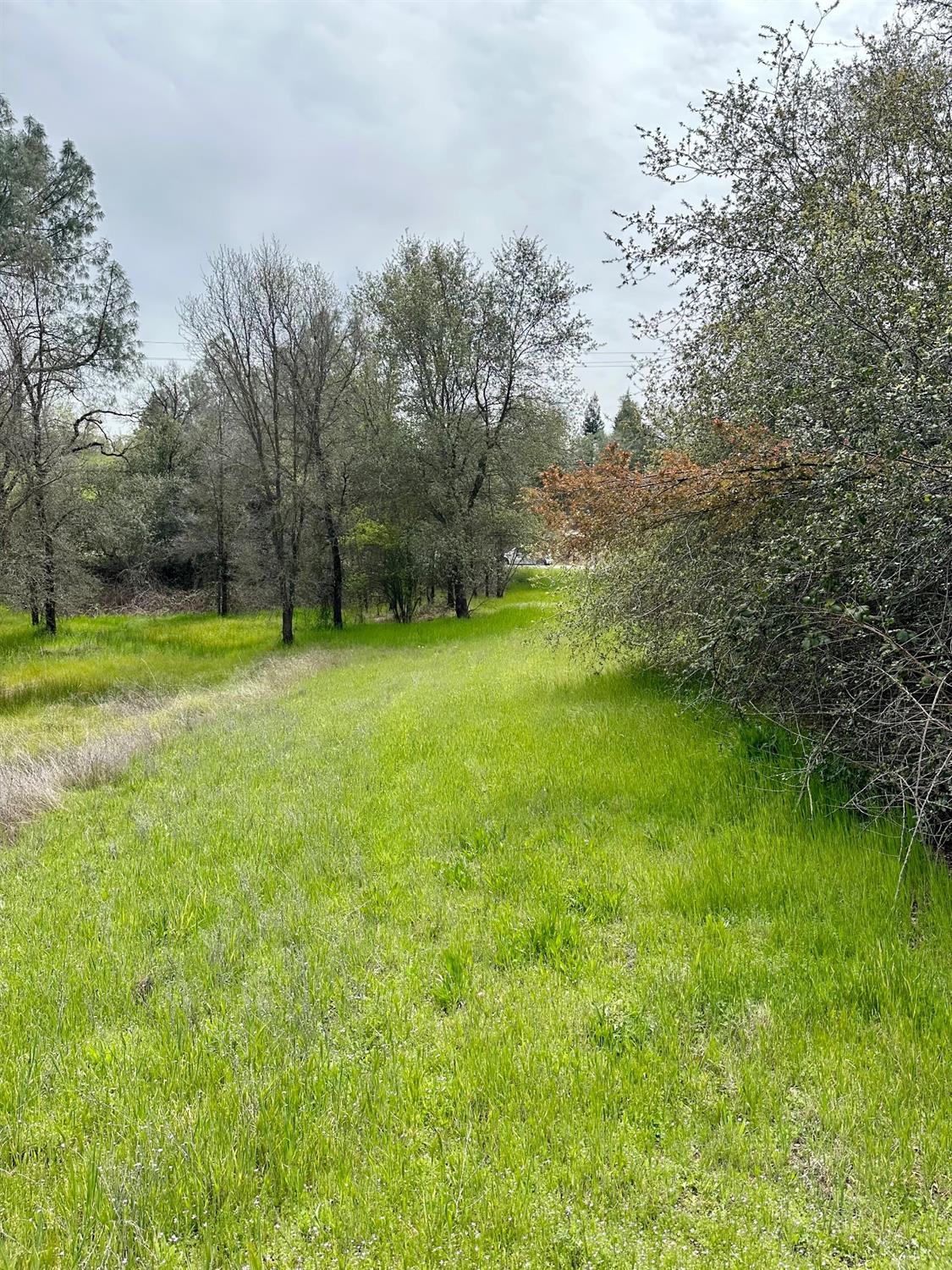 1 Joeger Road Auburn, CA 95602 - Photo 10 of 25 a view of a green field with lots of bushes
