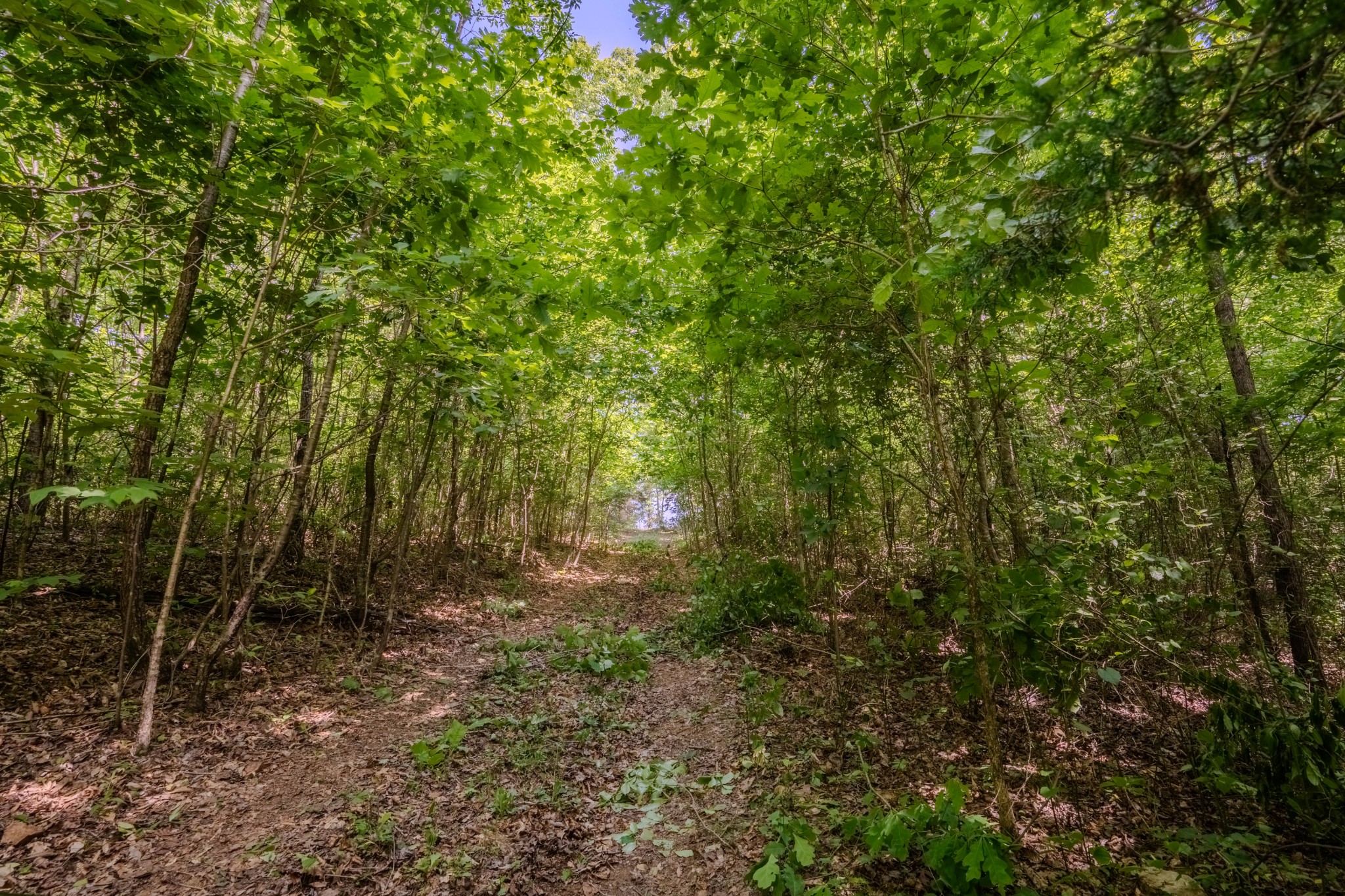 8150 Suckstem Branch Road Lawrenceburg, TN 38464 - Photo 26 of 40