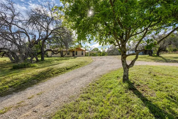 a view of a yard with large trees