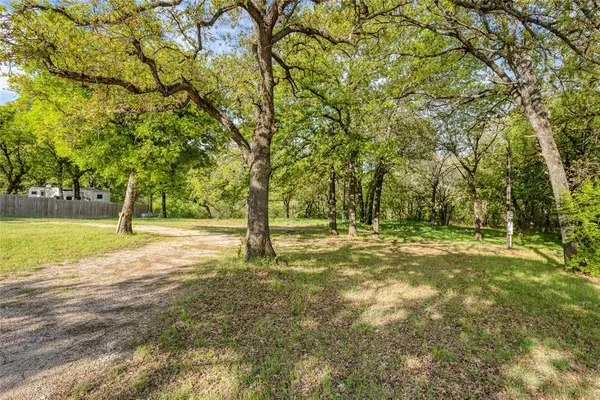 a view of a yard with trees