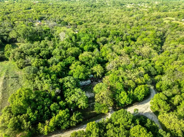 a view of a lush green forest