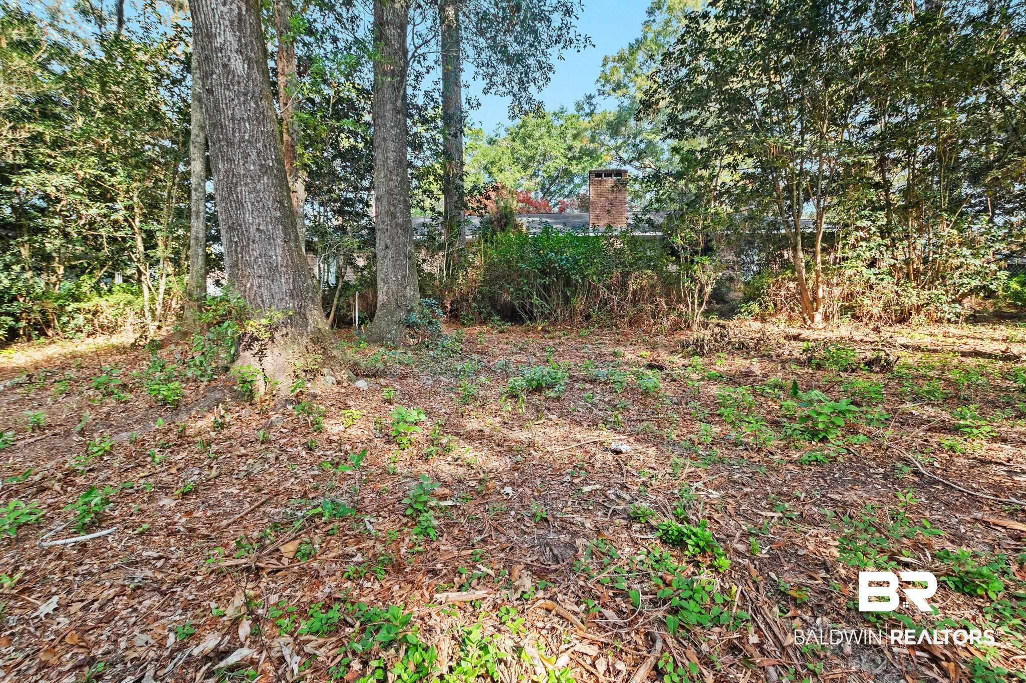 752 Evergreen Street Fairhope, AL 36532 - Photo 71 of 100 View of yard