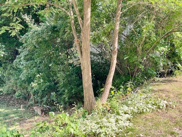 44 Boardman Street Worcester, MA 01606 - Photo 17 of 29 a view of small garden