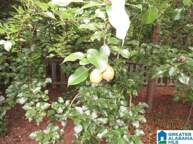 171 Hackberry Circle Chelsea, AL 35043 - Photo 41 of 45