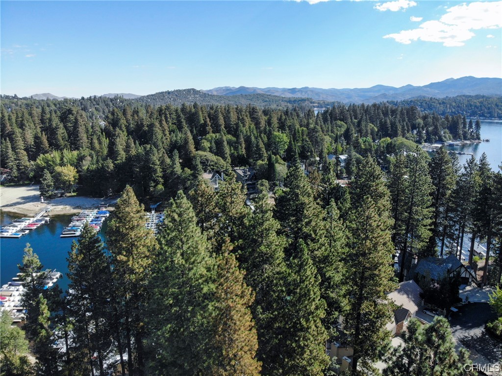 27450 North Bay Road Lake Arrowhead, CA 92352 - Photo 12 of 14