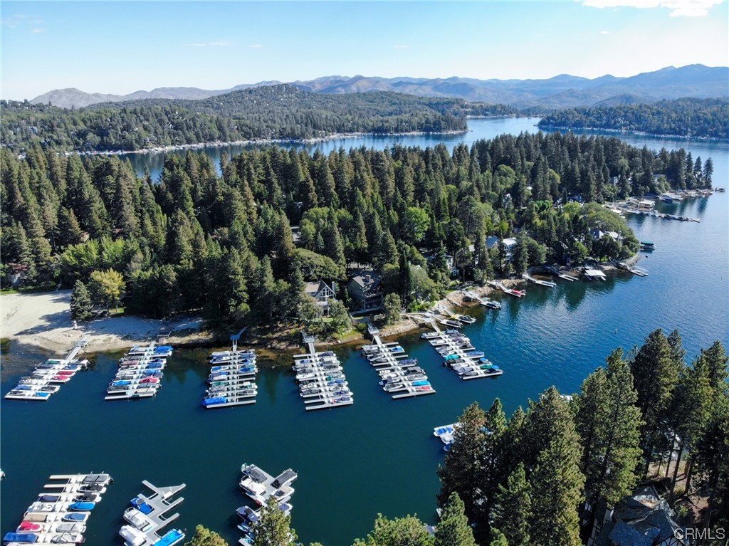 27450 North Bay Road Lake Arrowhead, CA 92352 - Photo 13 of 14