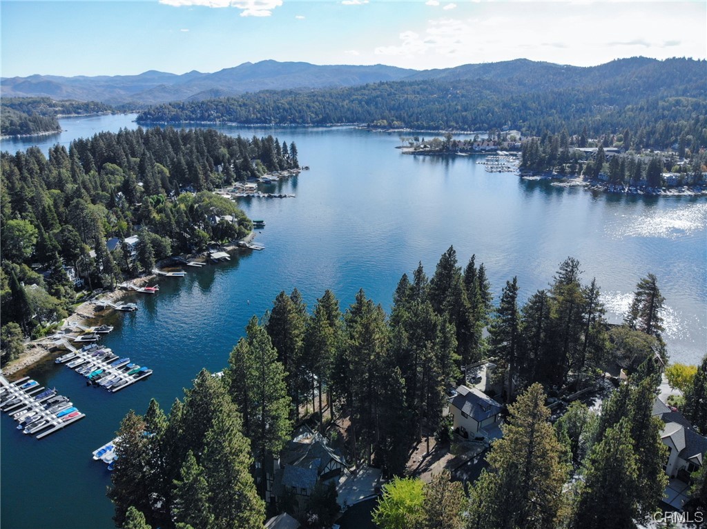 27450 North Bay Road Lake Arrowhead, CA 92352 - Photo 14 of 14